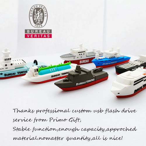 Custom Bureau Veritas usb flash drive successful